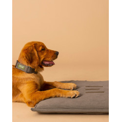 Tapis pour chien GEM 60 x 80 cm Kaki Tapis pour chien GEM 60 x 80 cm Kaki