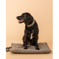 Tapis pour chien GEM 60 x 80 cm Kaki