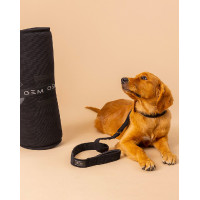 Tapis pour chien GEM 60 x 80 cm Kaki Tapis pour chien GEM 60 x 80 cm Kaki