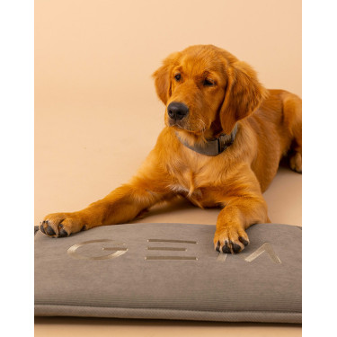 Hondenmat GEM 40 x 60 cm Kaki Groen