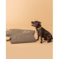Tapis pour chien GEM 40 x 60 cm Kaki Tapis pour chien GEM 40 x 60 cm Kaki