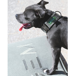 Hondenmat GEM 40 x 60 cm Kaki Groen