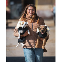 Couverture pour chien GEM Couverture pour chien GEM