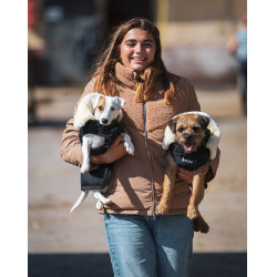 Couverture pour chien GEM Couverture pour chien GEM