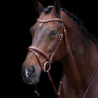 Bridon HV Polo Legacy Bruin Bridon HV Polo Legacy Bruin