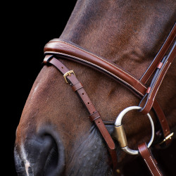 Bridon HV Polo Legacy Bruin
