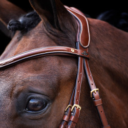 Bridon HV Polo Legacy Bruin