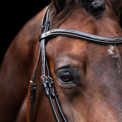 Bridon HV Polo Legacy Zwart