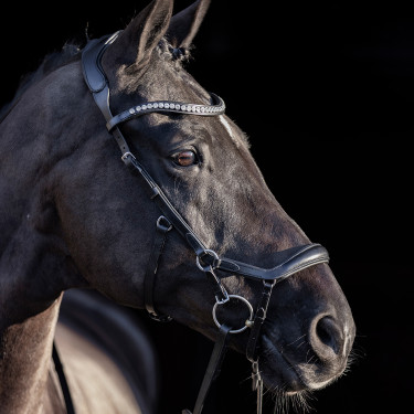 Bridon HV Polo Legacy Anatomique deluxe Bridon HV Polo Legacy Anatomique deluxe