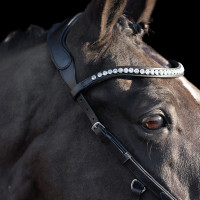 Bridon HV Polo Legacy Anatomisch deluxe Zwart Bridon HV Polo Legacy Anatomisch deluxe Zwart