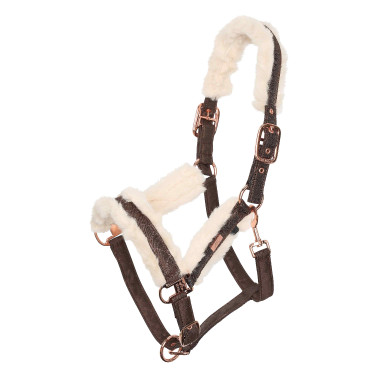 Licol HV Polo Welmoed Shine Moka Marron Licol HV Polo Welmoed Shine Moka Marron