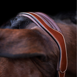 Halster HV Polo Legacy Bruin