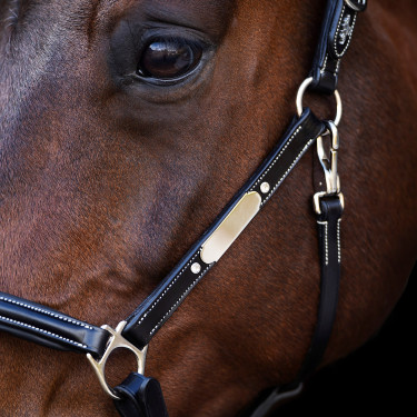 Halster HV Polo Legacy Zwart Halster HV Polo Legacy Zwart