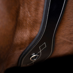 Sangle de dressage HV Polo Legacy Noir Sangle de dressage HV Polo Legacy Noir