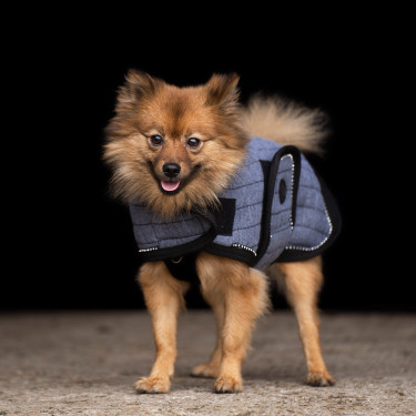 Manteau pour chien HV Polo Franka Manteau pour chien HV Polo Franka