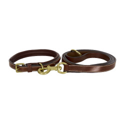 Collier du chien HV Polo Legacy Marron