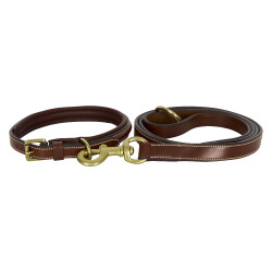 Halsband van de hond HV Polo Legacy Bruin Halsband van de hond HV Polo Legacy Bruin
