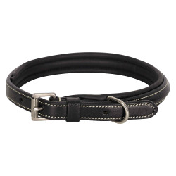Collier du chien HV Polo Legacy Noir