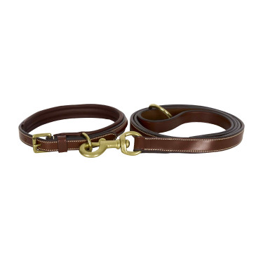 Laisse du chien HV Polo Legacy Marron