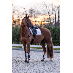 Guêtres Imperial Riding Lovely Blanc Guêtres Imperial Riding Lovely Blanc