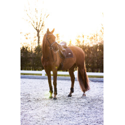 Guêtres Imperial Riding Lovely Bleu marine