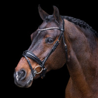 Bridon Impérial Riding Olympia Zwart / roségoud
