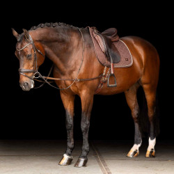 Enrênement élastique Imperial Riding Marron