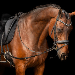 Enrênement élastique Imperial Riding Noir Enrênement élastique Imperial Riding Noir