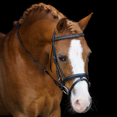 Bridon shetland Imperial Riding Stormy Bridon shetland Imperial Riding Stormy