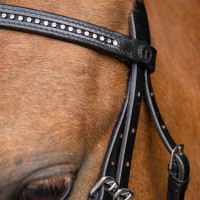 Bridon shetland Imperial Riding Stormy Noir / cristal Bridon shetland Imperial Riding Stormy Noir / cristal