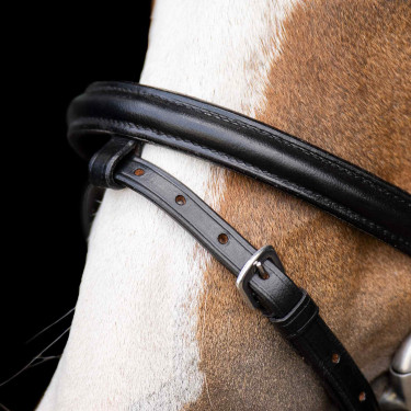 Bridon shetland Imperial Riding Stormy Bridon shetland Imperial Riding Stormy