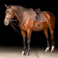 Rênes allemandes SH Imperial Riding Core Marron