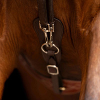 Duitse teugels SH Imperial Riding Core Bruin Duitse teugels SH Imperial Riding Core Bruin