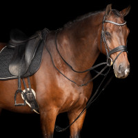 Rênes allemandes SH Imperial Riding Core Marron Rênes allemandes SH Imperial Riding Core Marron