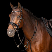 Martingale Imperial Riding Core Marron Martingale Imperial Riding Core Marron