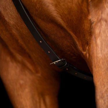 Martingaal Imperial Riding Core Zwart