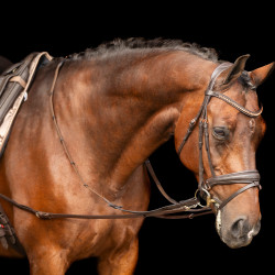 Enrênement Imperial Riding Core Marron