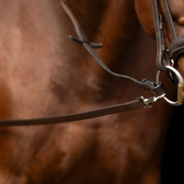 Imperial Riding Core hulpteugel Bruin