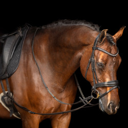 Enrênement Imperial Riding Core Noir