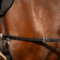 Imperial Riding Core hulpteugel Bruin