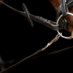 Enrênement Imperial Riding Core Noir