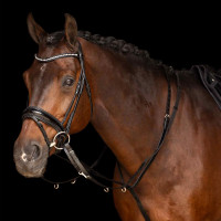 Enrênement Thiedemann Imperial Riding Core Noir