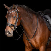 Chambon Imperial Riding Core Noir Chambon Imperial Riding Core Noir