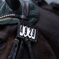 Porte-numéro pour tapis de selle Imperial Riding Show and Glow Marron / croco marron