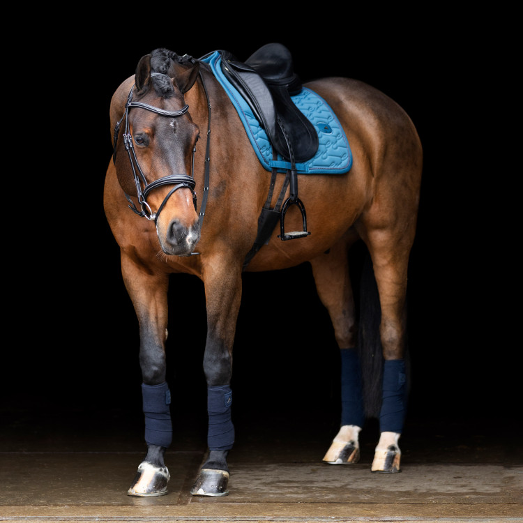 Tapis de selle Euro-Star Liona DR Tapis de selle Euro-Star Liona DR