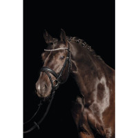 Bridon Bella HKM Zwart