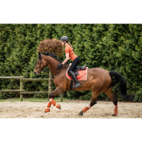 Bandes de polo Edinburgh HKM Brandy Marron Bandes de polo Edinburgh HKM Brandy Marron