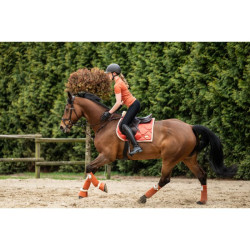 Bandes de polo Edinburgh HKM Brandy Marron Bandes de polo Edinburgh HKM Brandy Marron