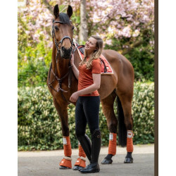 Bandes de polo Edinburgh HKM Brandy Marron Bandes de polo Edinburgh HKM Brandy Marron