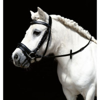 Bridon Mini Shetty HKM Zwart
